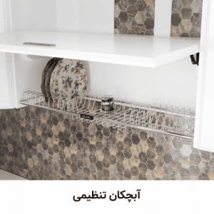 ابچکان تنظیمی