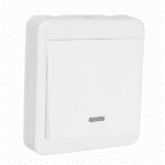 کلید خروج بیسیم REK-855 روستیک - Rustic