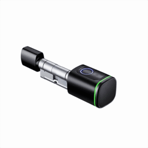 سیلندر هوشمند اثرانگشت و کارت 2-FDC روستیک - Rustic