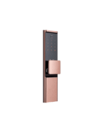 قفل دیجیتال سامسونگ SHP-DR900 - Image 4